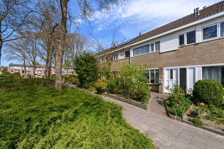 Foto 35 van Zwemmer 41