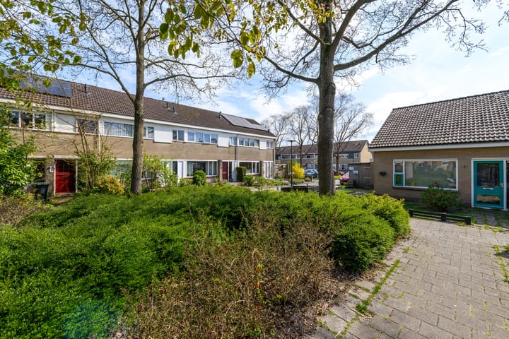 Foto 36 van Zwemmer 41