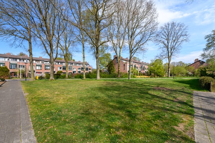 Foto 37 van Zwemmer 41