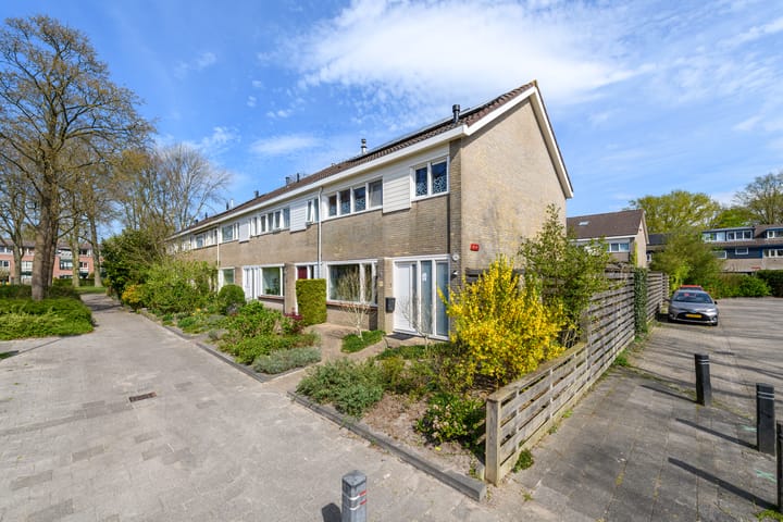 Foto 38 van Zwemmer 41