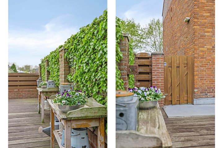 Photo 34 of Steenweg 101