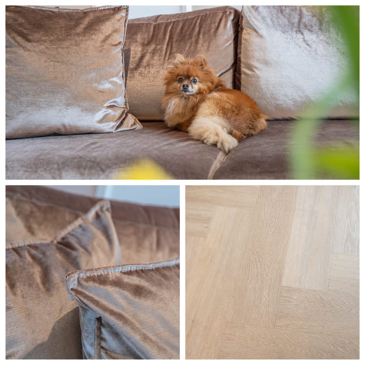 Foto 22 van Raamweg 29