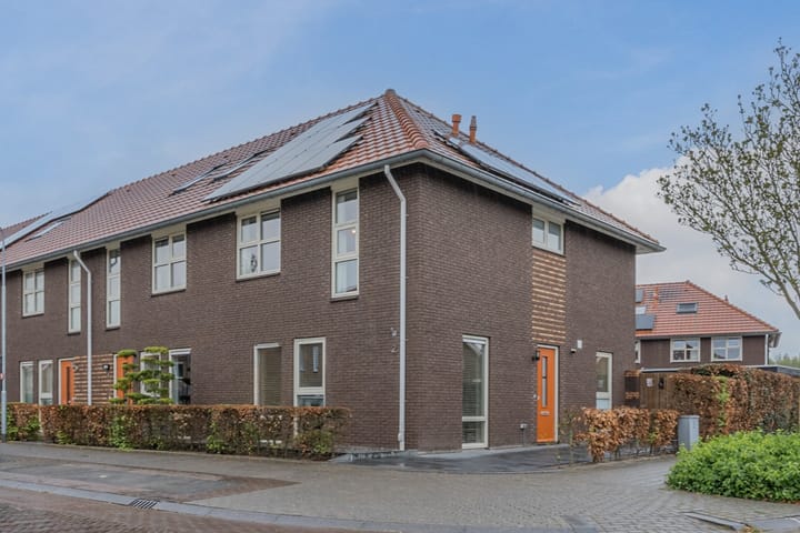undefined main image