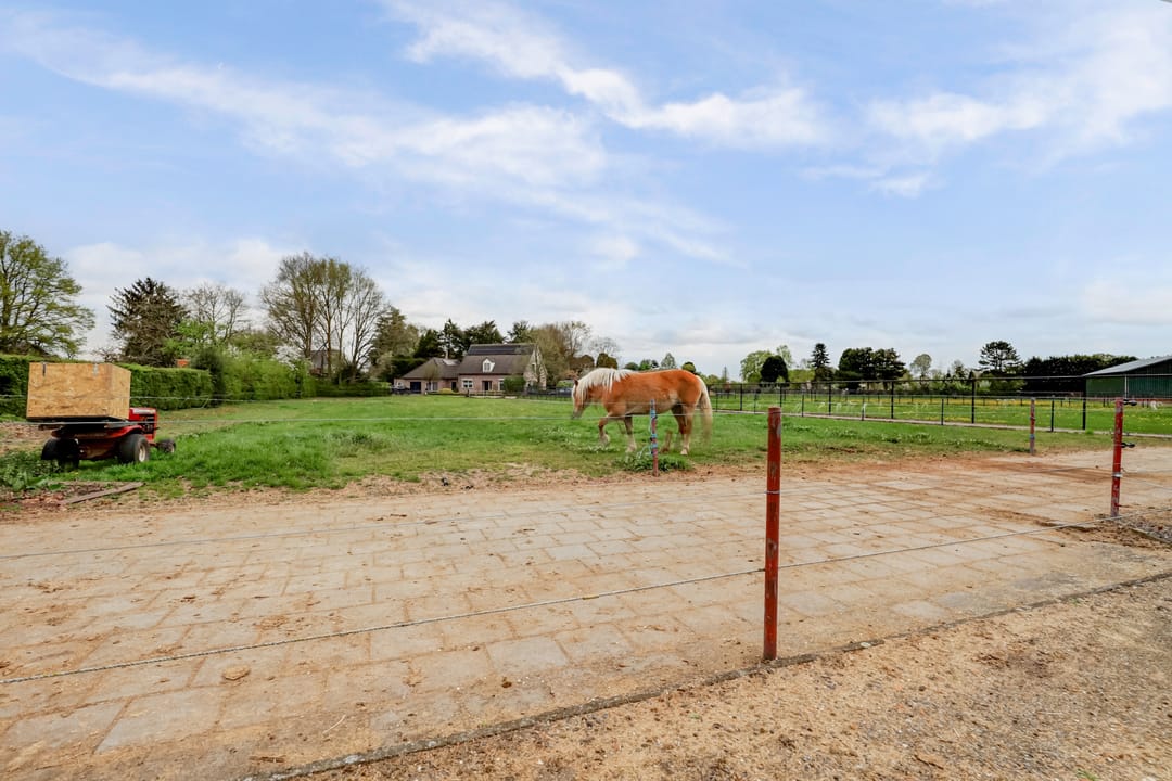 Photo 56 of Graafsedijk 14