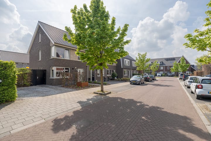 Foto 49 van De Wiek 50-A