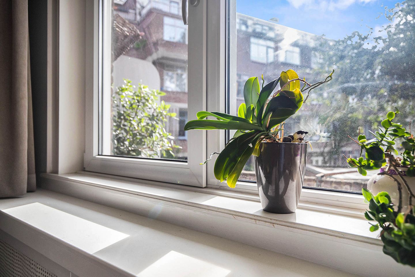 Foto 44 van Schieweg 80-B