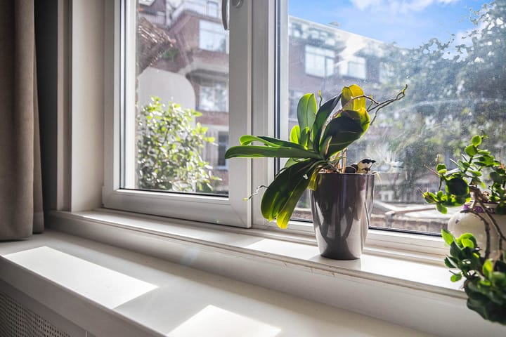 Foto 44 van Schieweg 80-B