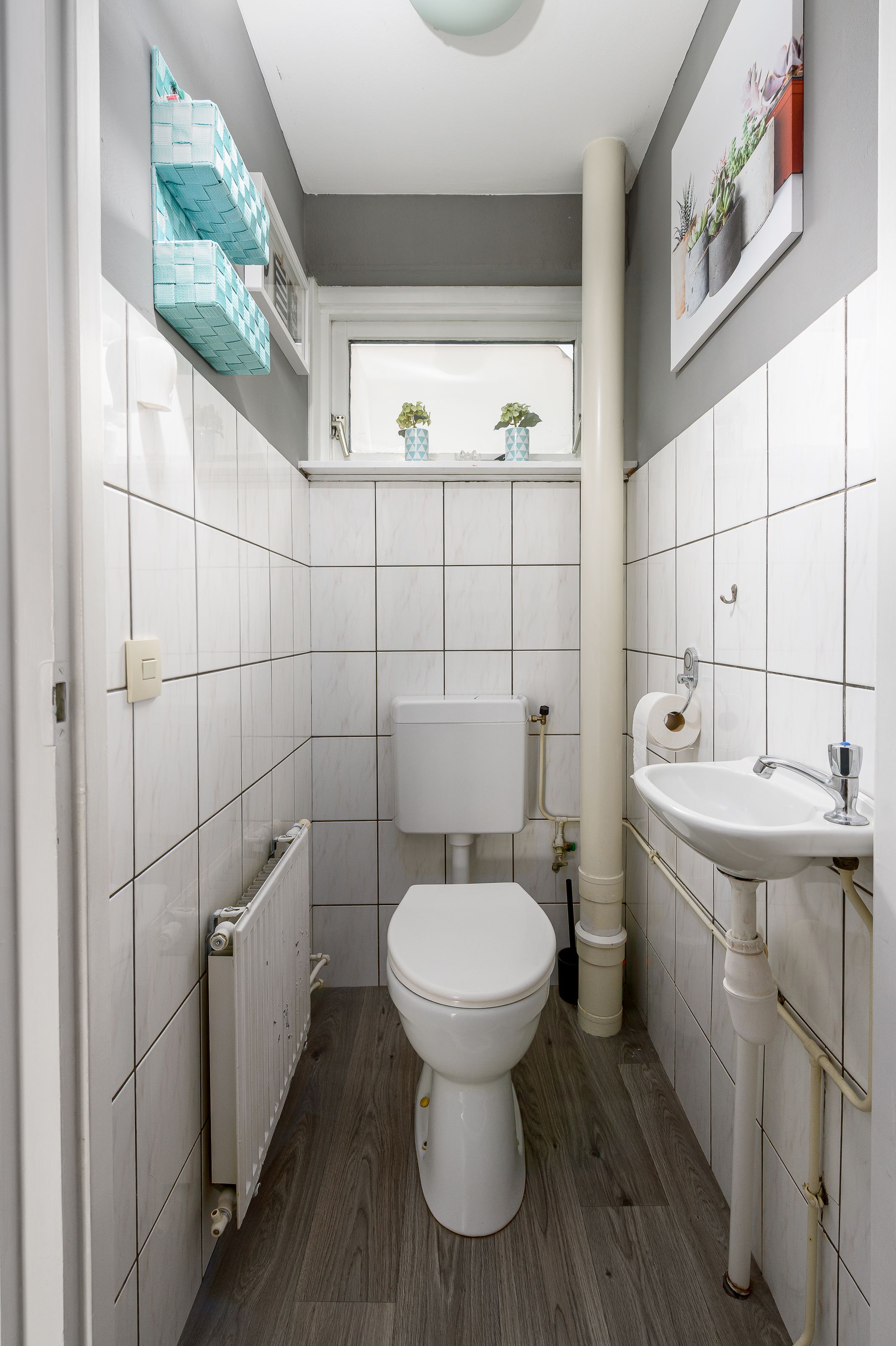 Foto 27 van Galjoen 27 26