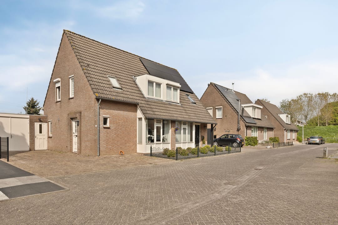 Foto 2 van Bladvlinder 5