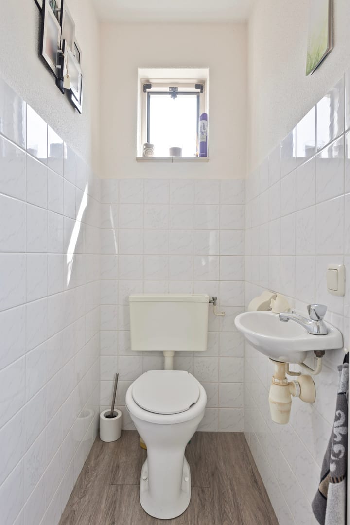 Foto 5 van Bladvlinder 5