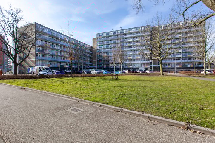 Foto 29 van Lupinesingel 410