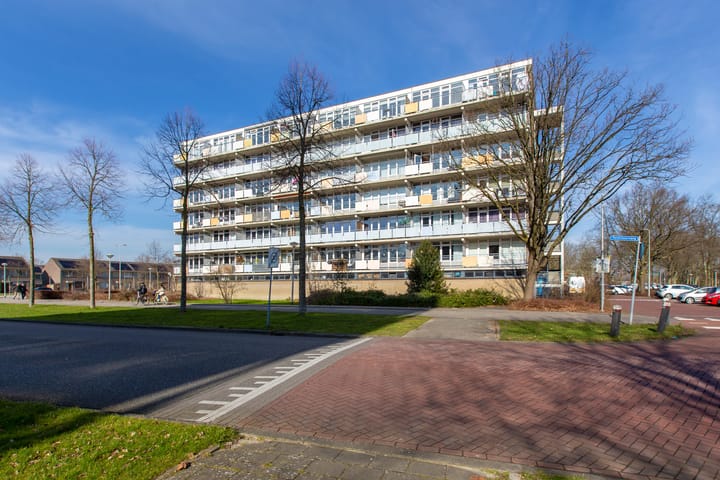 Foto 30 van Lupinesingel 410