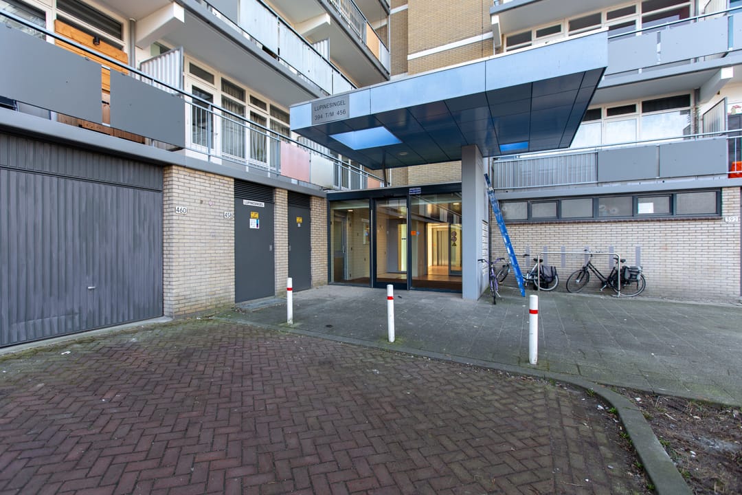 Foto 31 van Lupinesingel 410