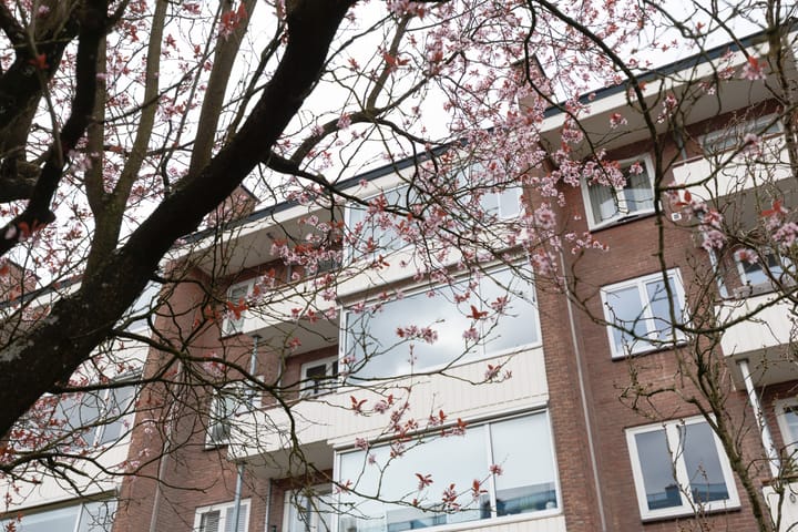 Foto 20 van Saturnusstraat 26