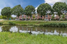 apartments for rent on Rijnland 371