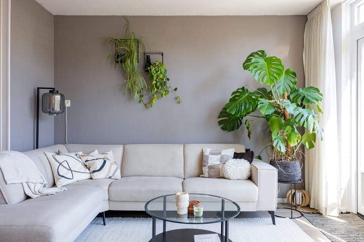 Foto 12 van Jaltadaheerd 180