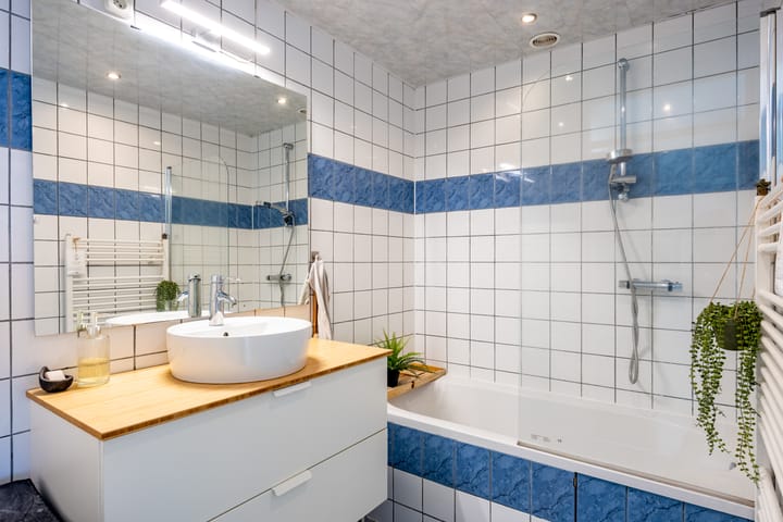 Foto 26 van Jaltadaheerd 180