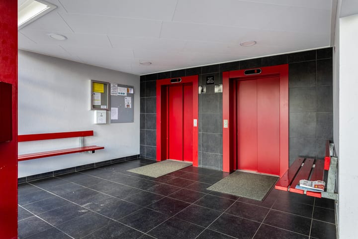 Foto 8 van Tjaarda 112