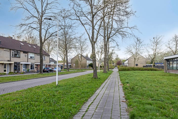 Foto 46 van Tjaarda 112