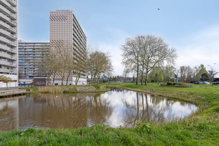 Foto 50 van Tjaarda 112