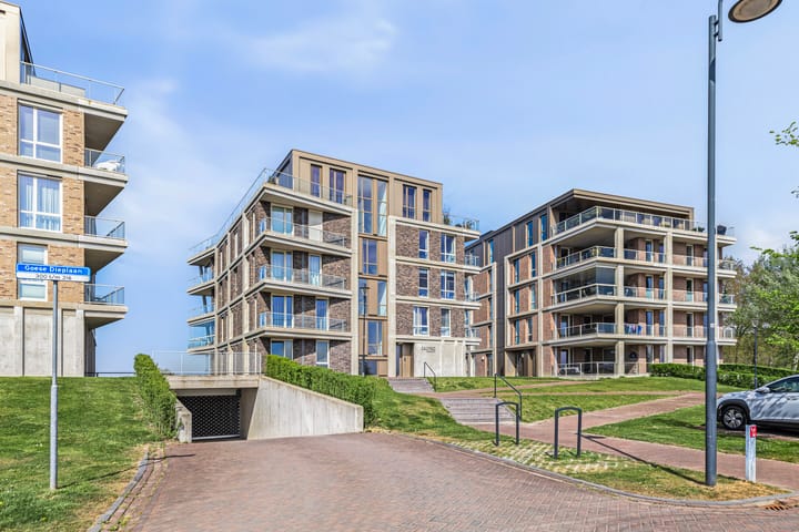 Foto 3 van Goese Dieplaan 412