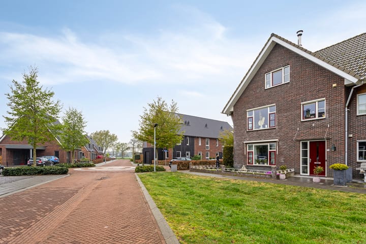 Foto 2 van Blauwgras 36