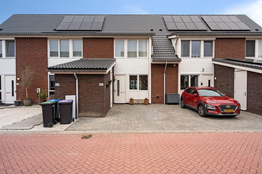 Photo 1 of Suikerpeer 107