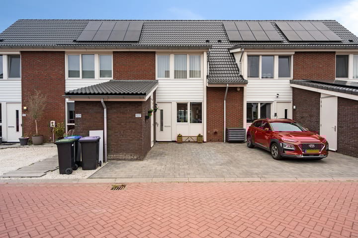 Foto 1 van Suikerpeer 107