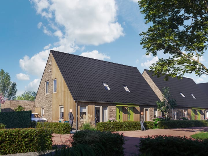 Image of Aster Double house