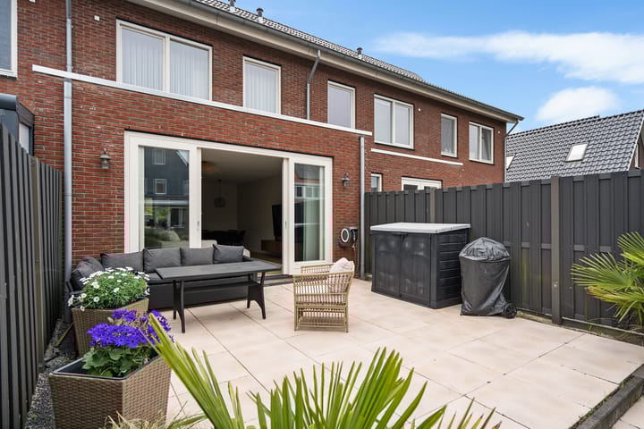 Foto 31 van Suikerpeer 107