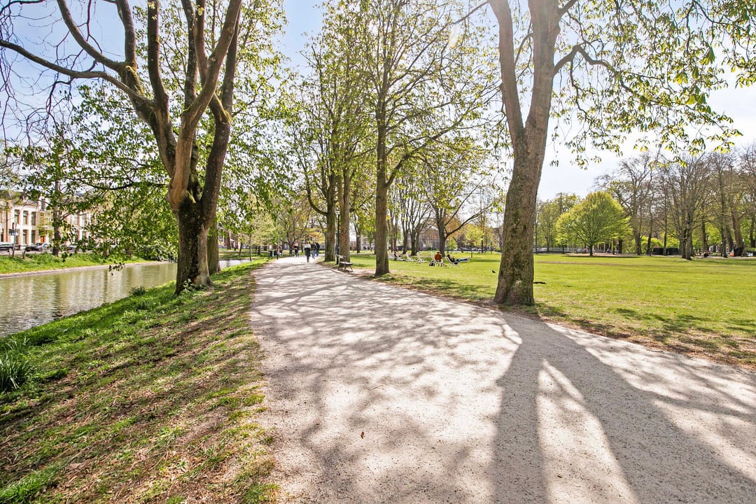 Foto 52 van Parkstraat 29