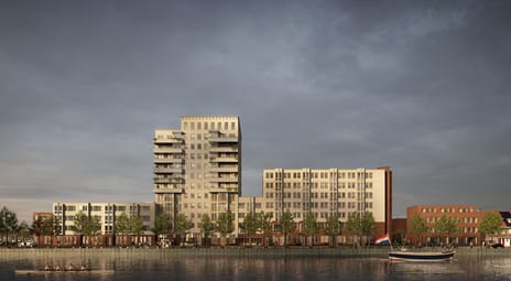 Bloom tertiary image