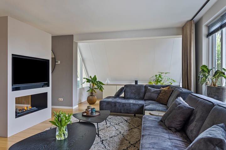 Foto 5 van Houtduif 15