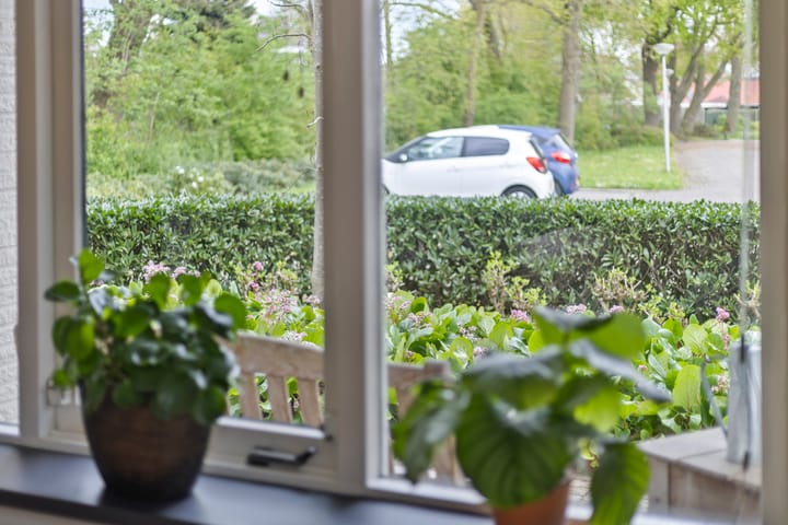 Foto 12 van Houtduif 15