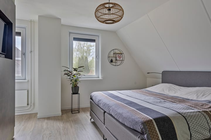 Foto 23 van Houtduif 15