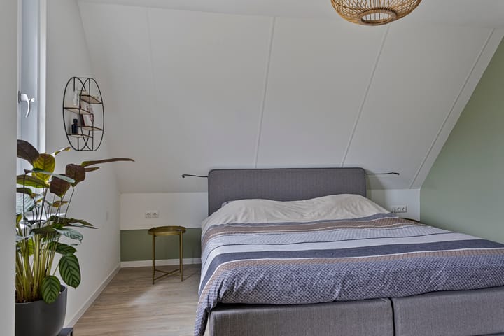 Foto 24 van Houtduif 15