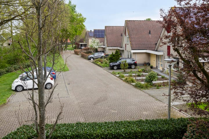 Foto 29 van Houtduif 15