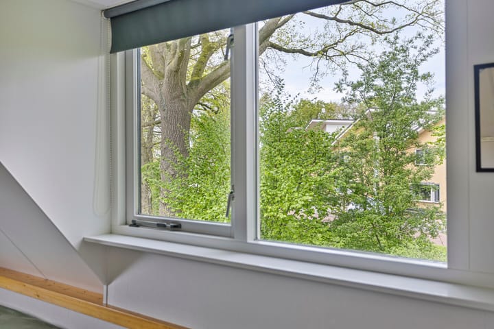 Foto 36 van Houtduif 15