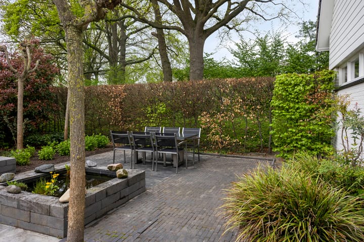 Foto 41 van Houtduif 15