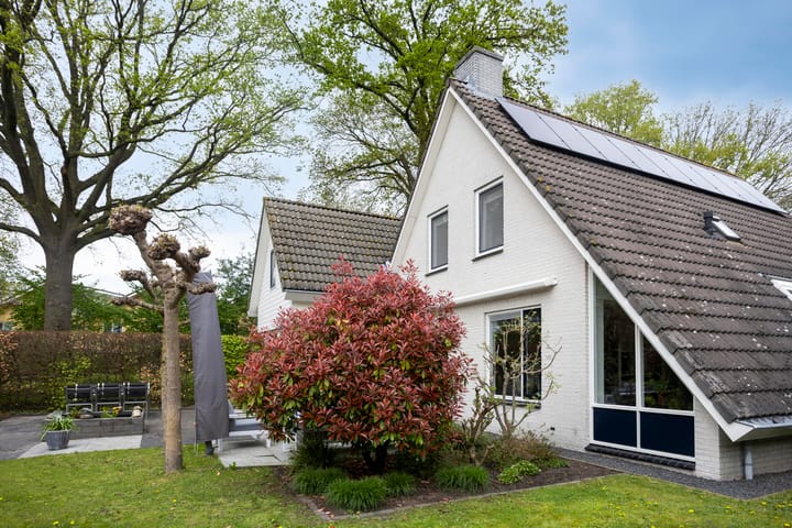 Foto 42 van Houtduif 15