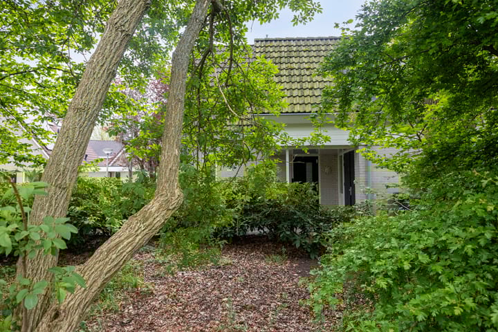 Foto 46 van Houtduif 15