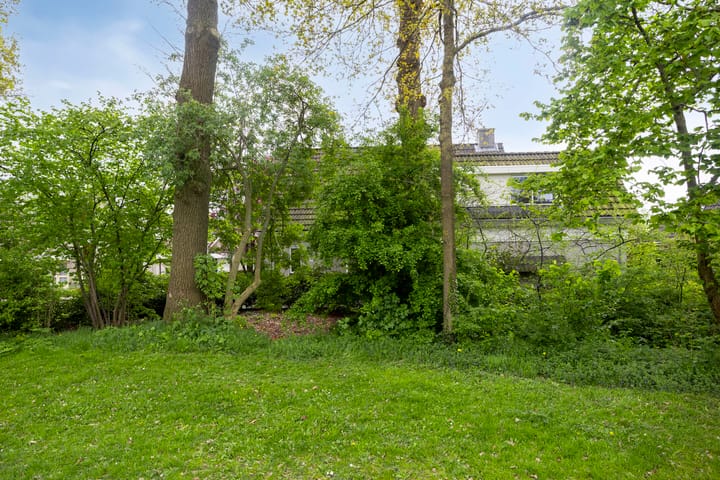 Foto 47 van Houtduif 15