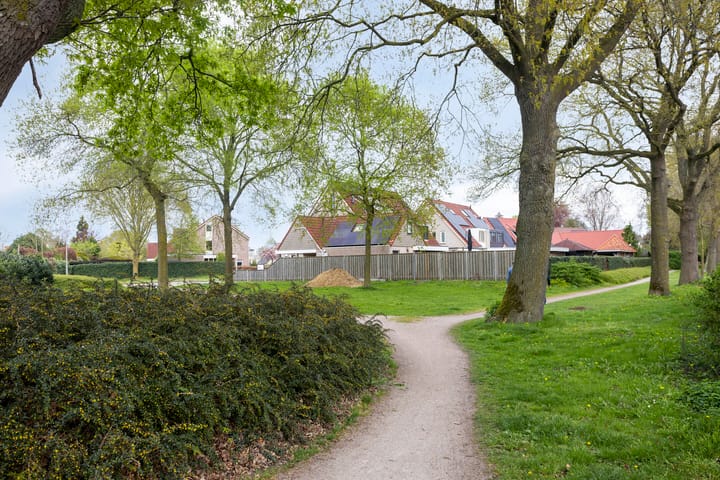 Foto 49 van Houtduif 15