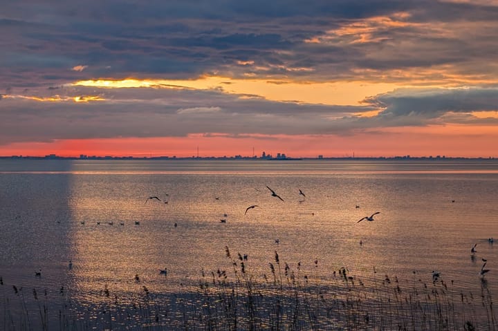 Foto 25 van Francisco Pizarrostraat 60