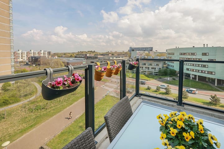 Photo 14 of Kleine Pan 35-J