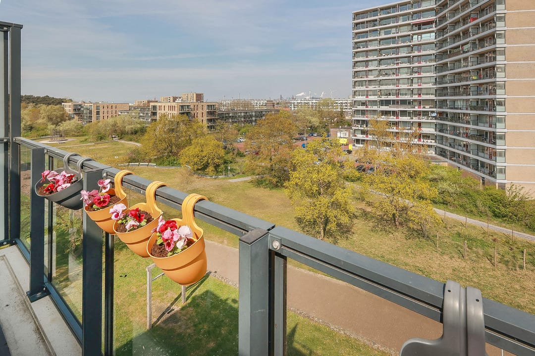 Foto 16 van Kleine Pan 35-J