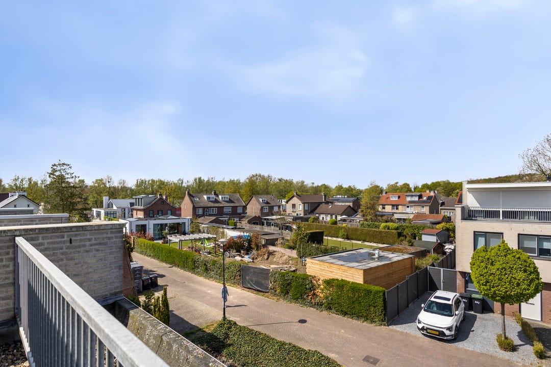 Photo 31 of Nobernest 11