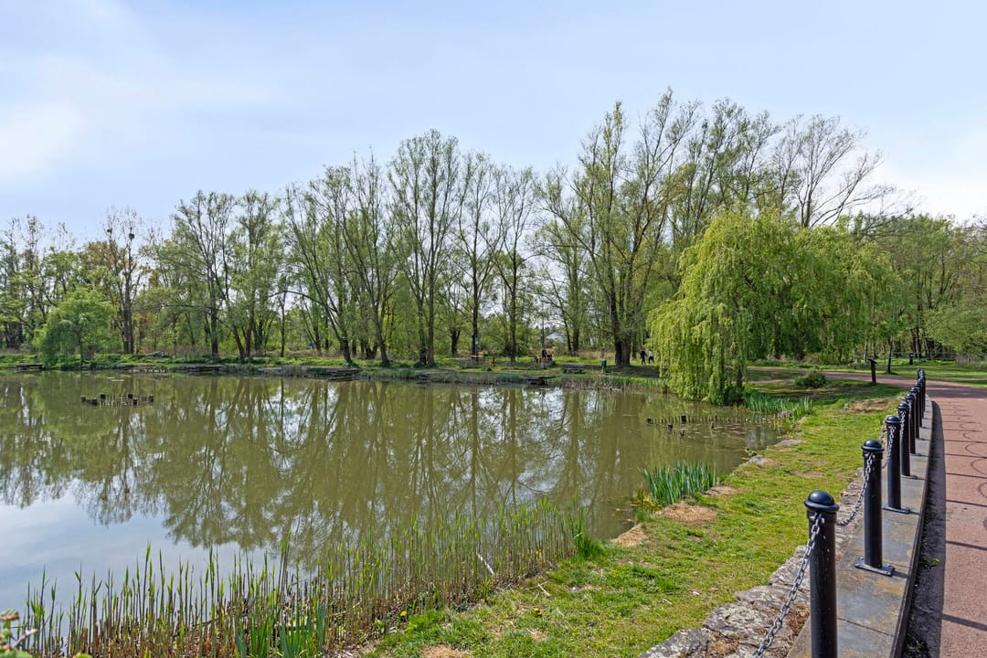 Photo 32 of Nobernest 11