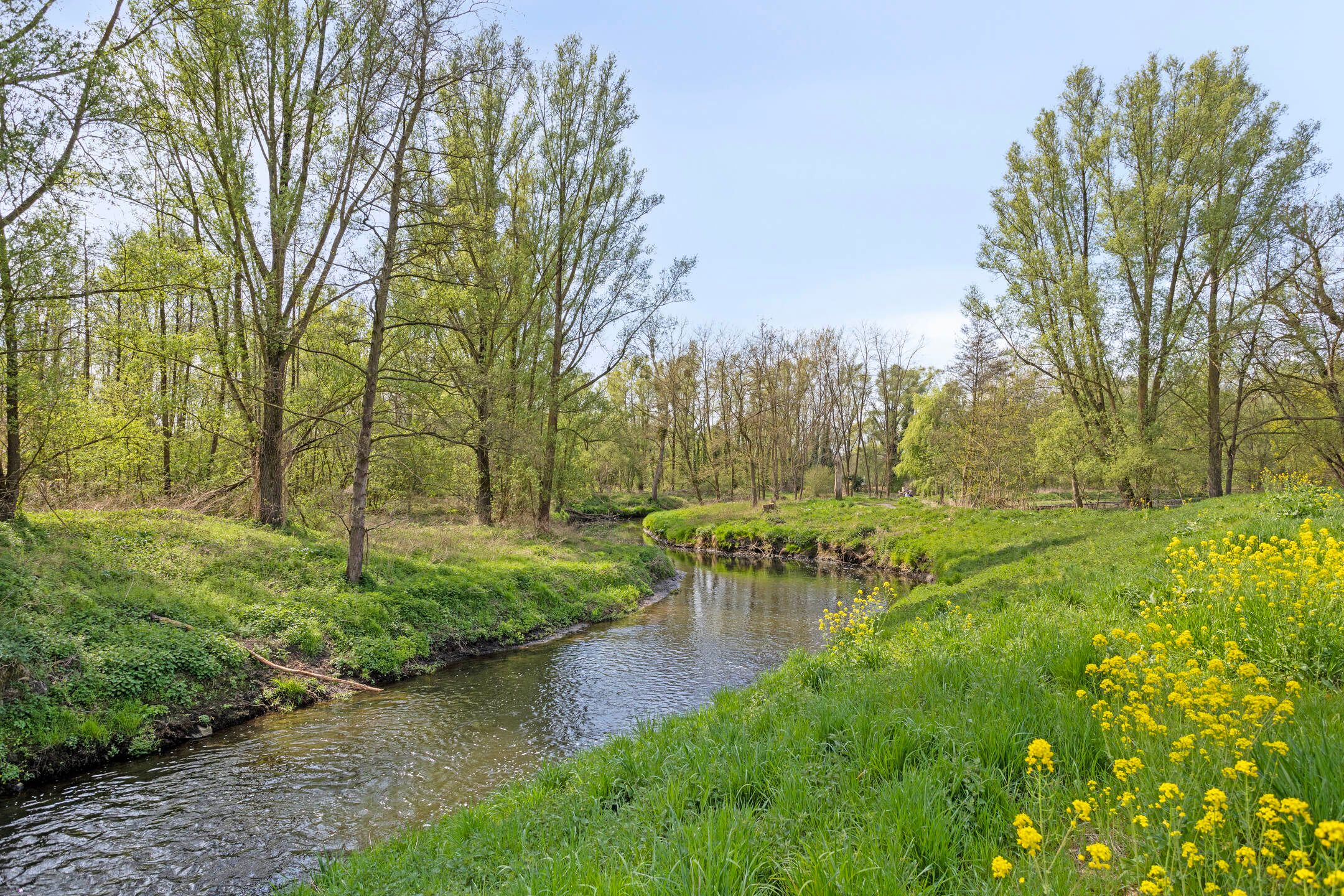 Photo 36 of Nobernest 11