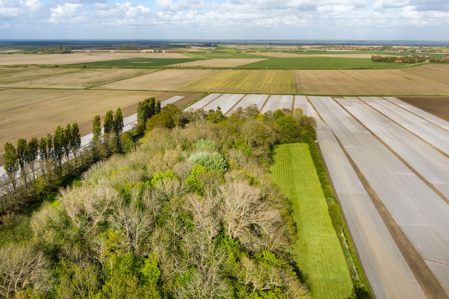 Photo 44 of Kloosterweg 23